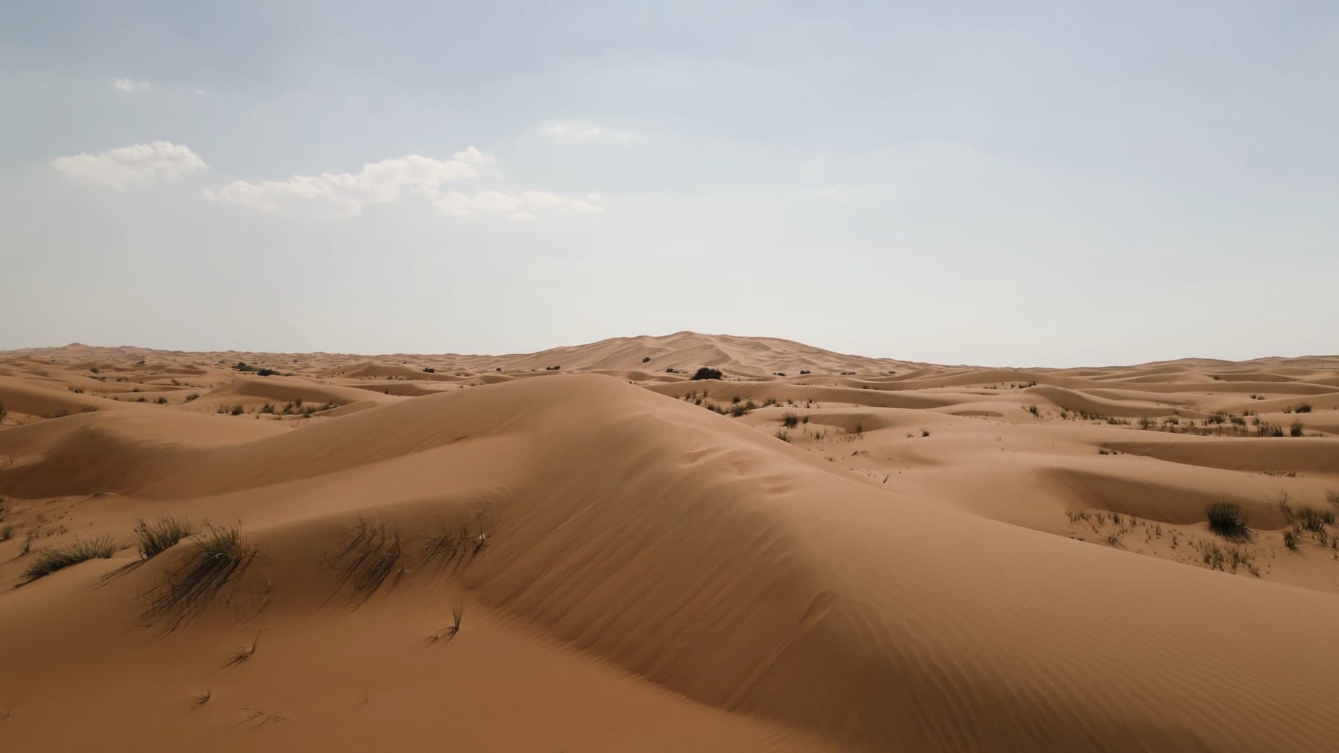 API Integration & Development